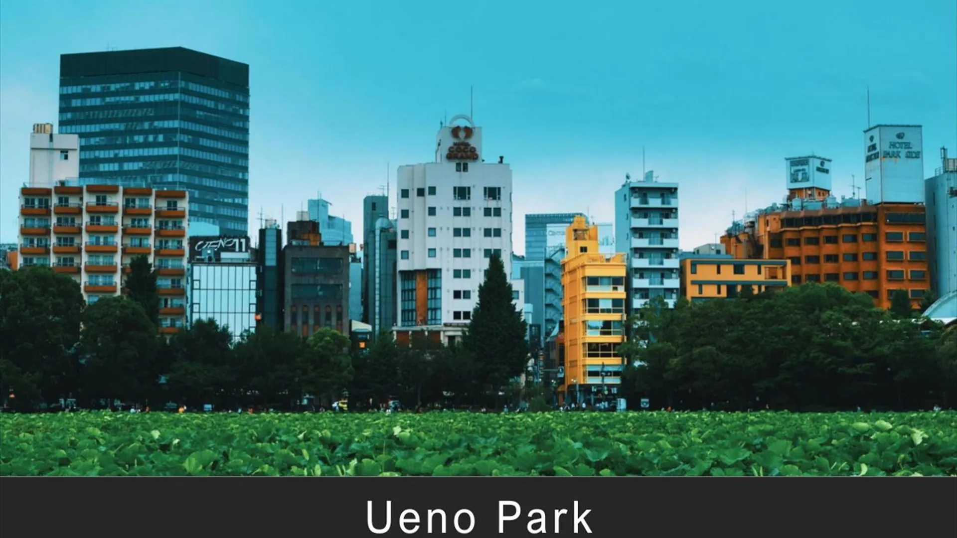 Отель Tokyu Stay Monzen-Nakacho Токио